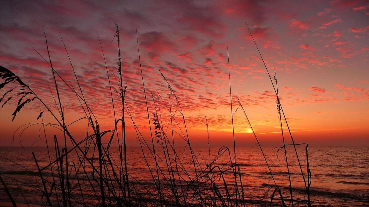 Willa C7-Dolphin St. Pete Beach Zewnętrze zdjęcie