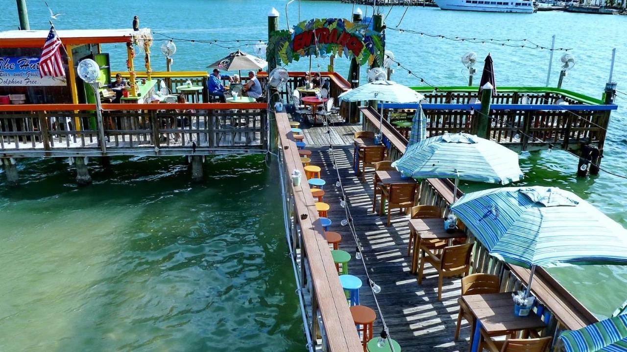 Willa C7-Dolphin St. Pete Beach Zewnętrze zdjęcie
