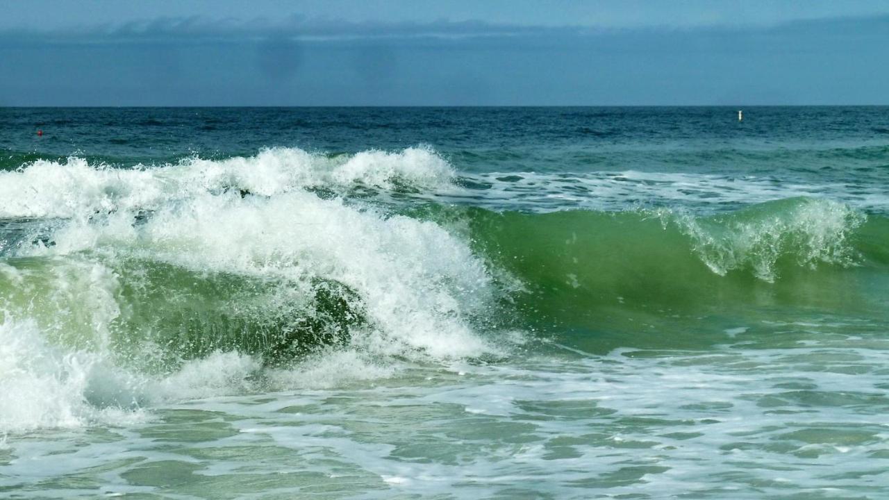 Willa C7-Dolphin St. Pete Beach Zewnętrze zdjęcie